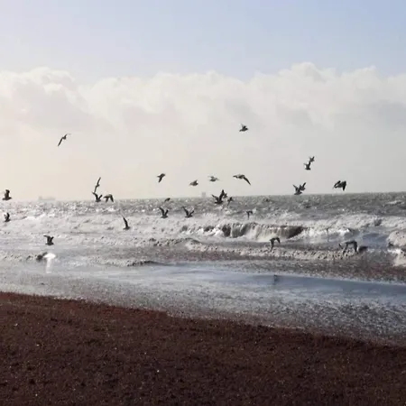 10 Person In Marstal-by Traum Holiday home