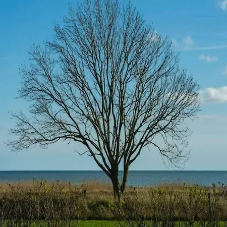 10 Person In Marstal-by Traum Holiday home