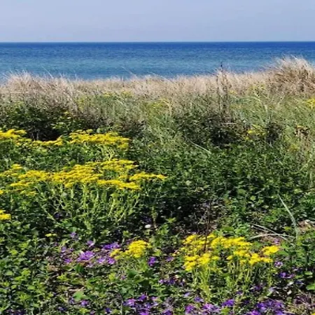 10 Person In Marstal-by Traum * Marstal