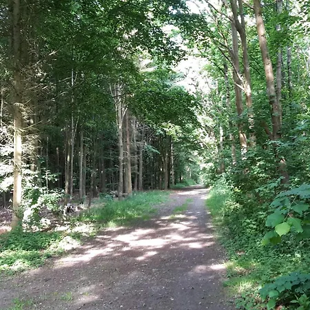 Holiday home 10 Person In Marstal-by Traum