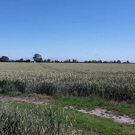 10 Person In Marstal-by Traum *